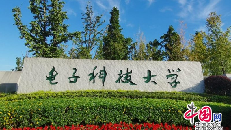 解码电子模块常见型号规格：揭秘选购背后的技术密码**
